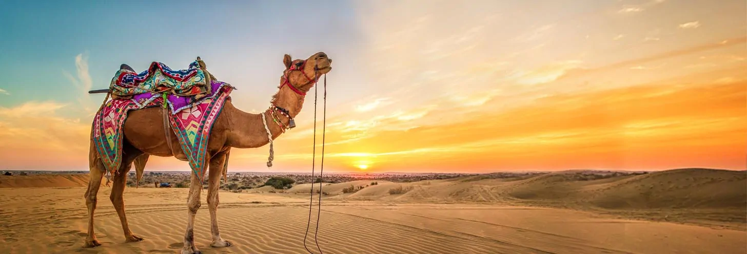 Rajasthan Tour Itinerary